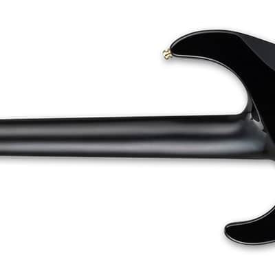E-II EIIMIIQMBLKNB M-II BLACK NATURAL BURST image 5