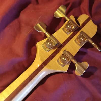Olivo, Rare 80's, Alembic style, 1982-83 - Clear gloss finish over Padauk image 8