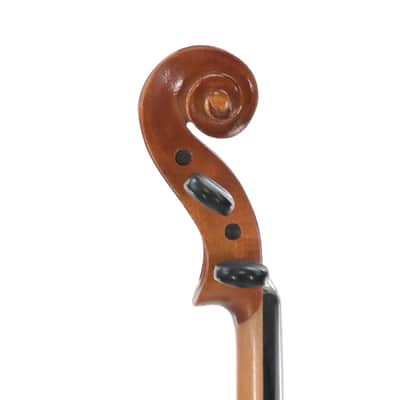 Violin 4/4 Paesold Mod Nr 5800-4 image 7