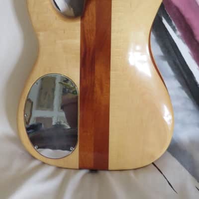 Alembic Employee Neck Through Shopnight Strat image 4