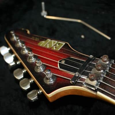 ESP 901 GUITAR used to record Rammsteins "Herzeleid" debut image 10