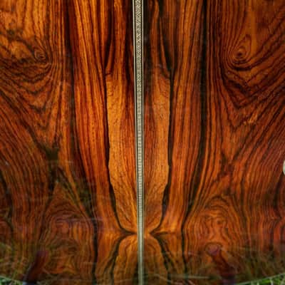 Santa Cruz OO Erik SKYE 2019 - Cocobolo image 7