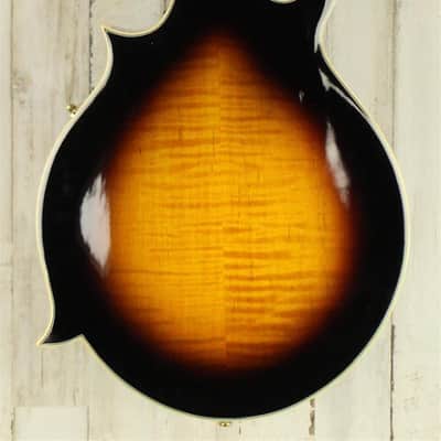 DEMO Gold Tone Mastertone GM-70+ - Tobacco Sunburst (106) image 3