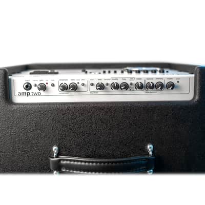 AER Amp Two | 240W 12" +8" Bass Combo. New with Full Warranty! image 5