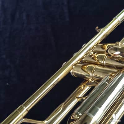 A . Courtois Paris S 311 PRESTIGE  HEAVYWALL trumpet case mouthpiece  gamonbrass image 10