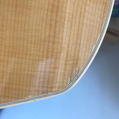 Godin Multiac Steel Duet image 6