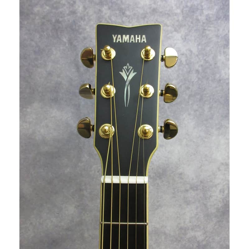 Yamaha DW-8 Dreadnought Acoustic Guitar Black | Reverb