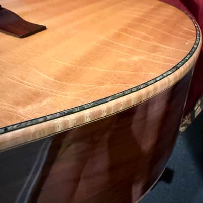 PRS Angelus Private Stock 2010 Steve Fischer image 16