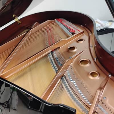 Schiller Concert 5.10 Grand w/Prodigy Player image 3
