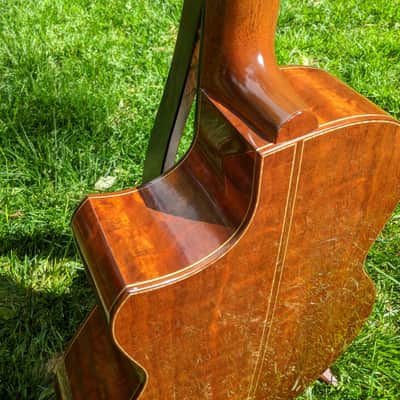 2019 The Tree Sexauer FT-000-C German Top Multi-Scale Fanfret Hot Hide Glue Varnish #2870219 image 16