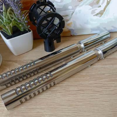 Bash Audio RM BIV-1 matched pair ribbon microphones #70 image 2