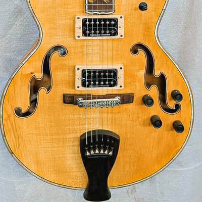Blueberry Handmade Hollow Body Electric Guitar Rapunzel Motif image 14