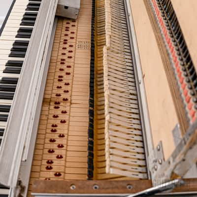 1980 Rhodes Suitcase 73 Mk II Vintage Electric Piano w/ Janus Preamp, Serviced w/ Mk I Action image 20
