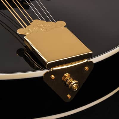 Washburn M1SDLB Bluegrass Series A-Style Mandolin. New with Full Warranty! image 13