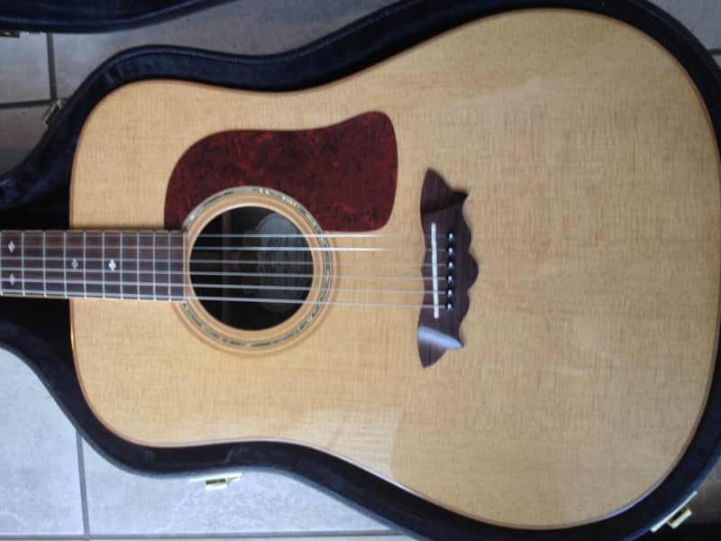 Washburn D56SW Timbercraft Dreadnought solid spruce and rosewood