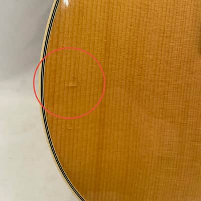 Epiphone Chet Atkins SST image 18