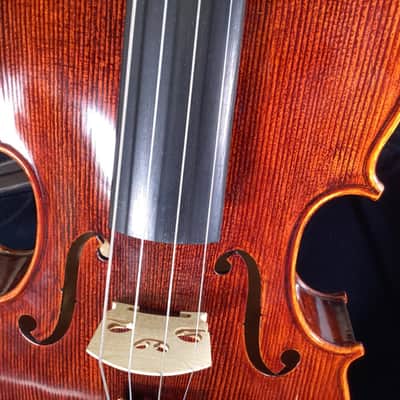 D'Luca PD02 Viola 15.5 Inches image 5