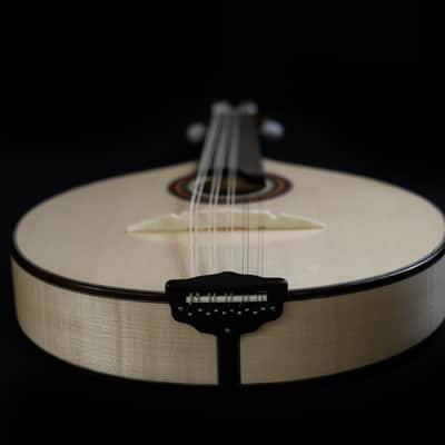 Junio Americo 10-String Mandolin | Brazil image 3