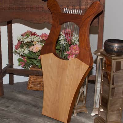 2-Tone Color Package Includes: Kinnor Harp 2-Tone Color + Roosebeck Mini Kinnor Harp Extra String Se image 4