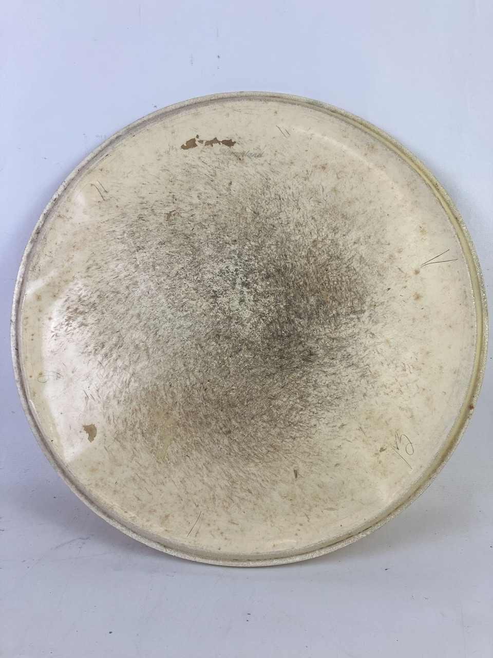Slingerland 14" Genuine Calf Skin Snare Batter/Floor Tom Drum Head Vintage 50s* — main photograph