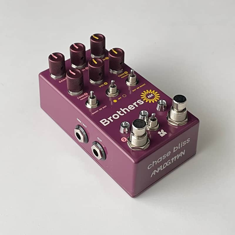 Chase Bliss Audio Brothers AM