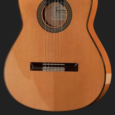Juan Hernandez Profesor Spruce Flamenca Spanish Flamenco Guitar image 3