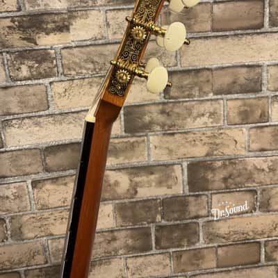 David Whiteman Cutaway 14-Fret Joint Classical Guitar Spruce/Rosewood (Doctor Sound Stock Item) 2013 image 6