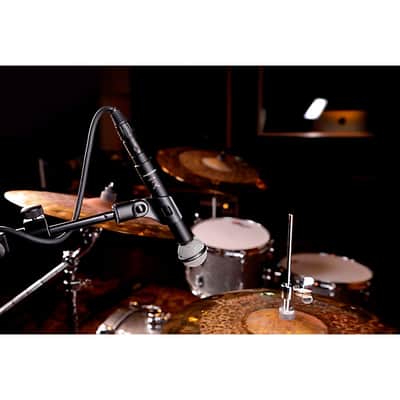 Beyer-Dynamic M 160 Dynamic Double-Ribbon Microphone (Hypercardioid), 730165 image 6