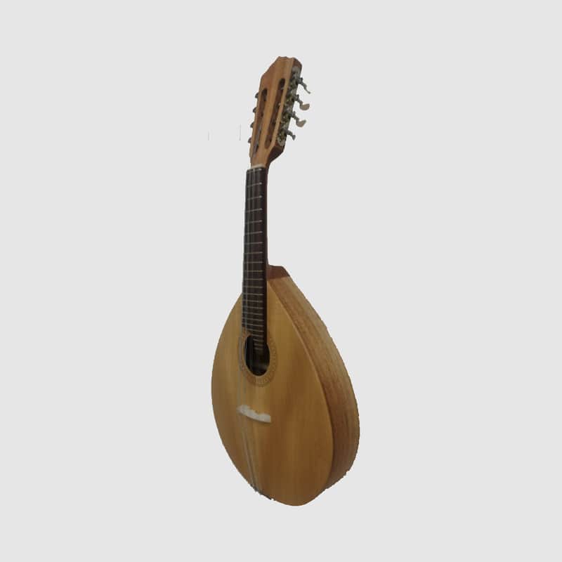 Artimusica Mandolim Tradicional Base image 1