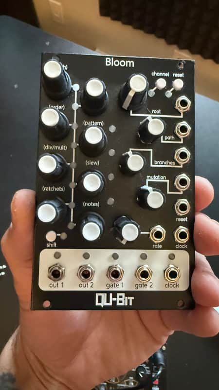 Qu-Bit Electronix Bloom - Fresh from Reverb!