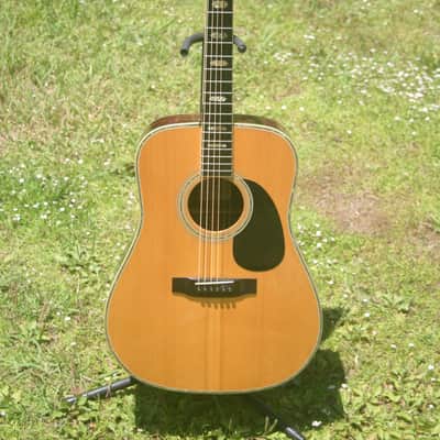 1976 Yairi YW800 Brazilian Rosewood Jacaranda Japan Vintage - Natural+Vintage Hard Case image 4