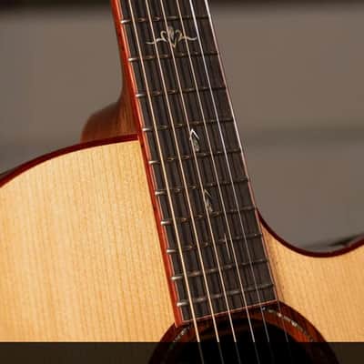 Cort Gold-A10 Cocobolo Grand Auditorium Acoustic/Electric Guitar Includes Hard Case, B-Stock image 2