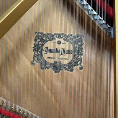 Yamaha DGP1 Disklavier Mark II 2001 - Polished Ebony image 21