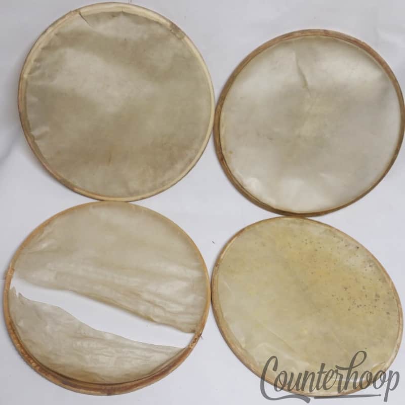 *Ludwig 3x 12" Calf Skin Drum Heads Maple Flesh Hoops Parts Lot Vintage 20s USA* image 1