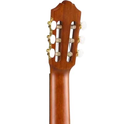 Yamaha Transacoustic Nylon String Cg Guitar image 8