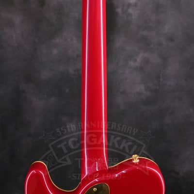 Fender Japan Terry-1 ANNIVERSARY Mod image 14