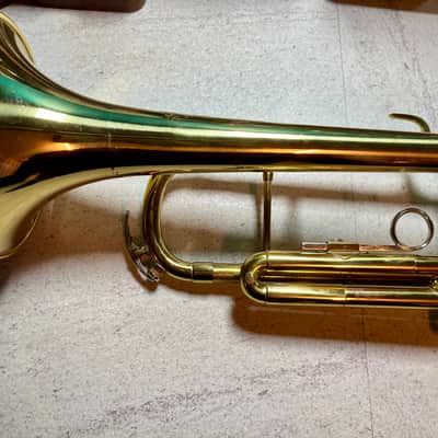 Parrot Trumpet model NO.6416 image 12