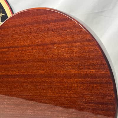 Epiphone Wildkat Studio Semi-Hollow Body Electric Guitar with Case - Metallic Goldtop image 12