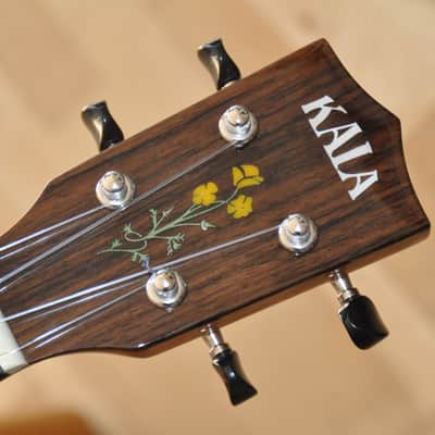 KALA 20th SQS-T Limited Edition 20th Anniversary / Tenor Ukulele / 2332509) image 8