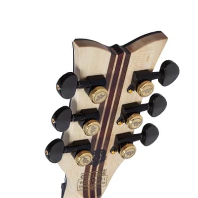 Schecter Tempest 50th Anniversary Electric Guitar - 50th Anniversary Gold Burst image 6