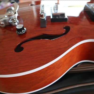 Godin 5th Avenue Uptown Custom - Havana Burst kg 2,75 image 6