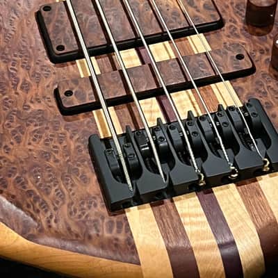Warrior Dran Michael 5-string Red Burl image 15