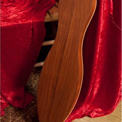 Mountain Dulcimer Package Includes: Roosebeck Grace Mountain Dulcimer Fretboard Spruce Soundboard + image 4