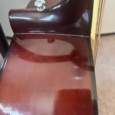 Ensenada GT81 Vintage 12-String Acoustic Guitar Double Dove / Mountain Pickguard w/ Case image 6