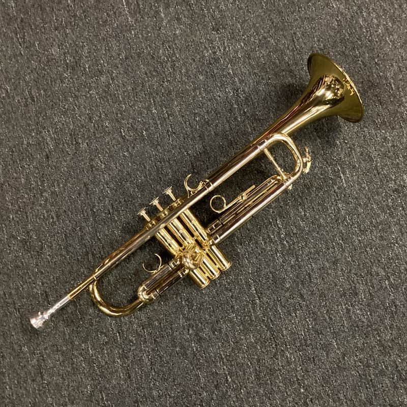 Selmer Radial