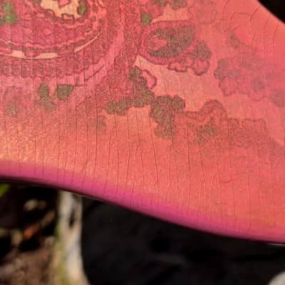 Pink Paisley Tele Body, Aged, Nitro , Alder image 3