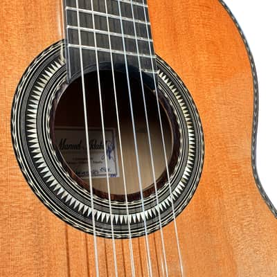 Manuel Adalid Special Edition Catedral X Anniversary - Cedar/Spruce Double top with Rose de Bois back/sides image 12