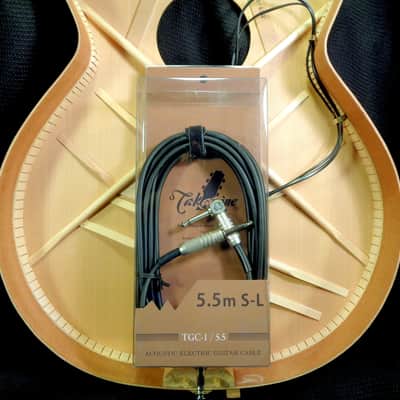 Takamine Guitar Cable TGC-1 5.5m / 18ft High Resolution Acoustic Guitar Cable image 1