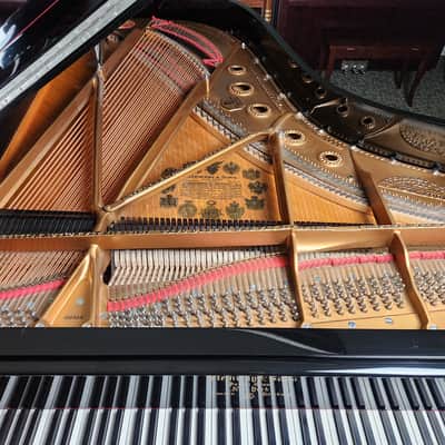 1901 Steinway B Grand Piano Rebuilt by Steinway in 1998 * Free 1st floor Delivery in NJ!* image 6