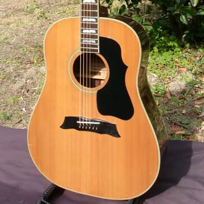 Morris MG-60 1977 Natural - Made in Japan - Solid Spruce Top image 4